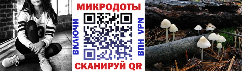 Псилоцибиновые грибы Psilocybine cubensis  где купить наркоту  Шуя 